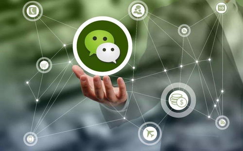 朋友圈營銷策劃推廣實戰(zhàn)指南 微漁商學(xué)院助你精準引流