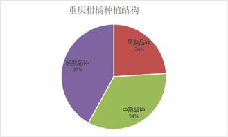 柑橘市場調研 重慶柑橘的輝煌歷史、效益困境與崛起之路